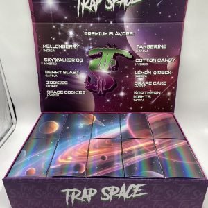 Trap Space 2G Disposable