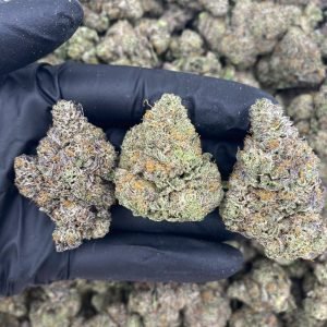 BLUE GELATO