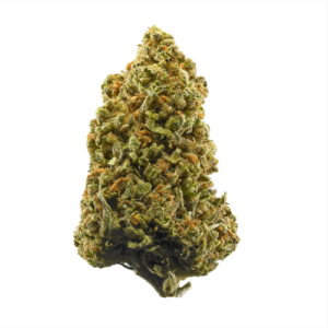 Bob Marley Cannabis Strain