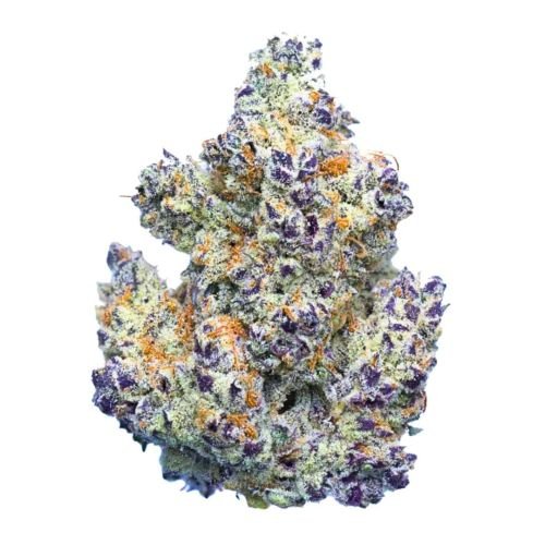 cheatah-piss-weed