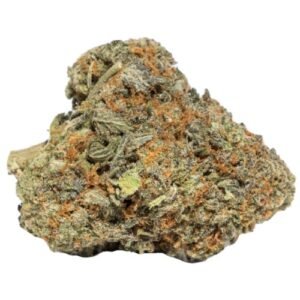 Chocolate Thai Cannabis Strain