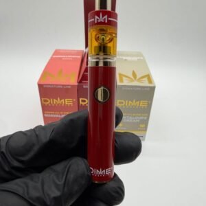 AUTHENTIC DIME INDUSTRIES 2G DISPOSABLE (ALL-IN-ONE)