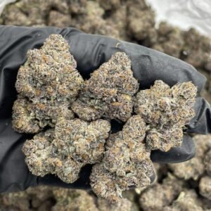 FROZEN FRUITY PEBBLES INDOOR