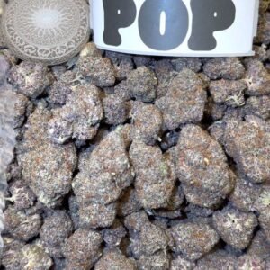 GASTRO POP INDOORS