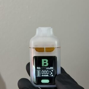 BLINKERS 2g DISPOSABLE