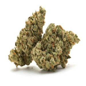 White Knight Cannabis Strain